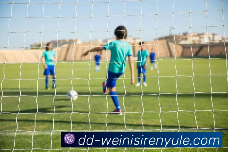 多媒体互动体验