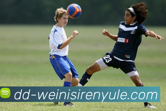 威尼斯人官网APP 体育赛事宣传图